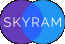 Skyram Technologies Private Limited logo
